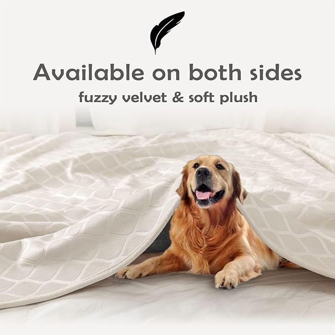fuguitex Waterproof Dog Blanket Bed Cover Dog Crystal Velvet Moroccan Fuzzy Cozy Plush Pet Blanket Throw Blanket for Couch Sofa(52 * 82 inch, Cream+Beige)