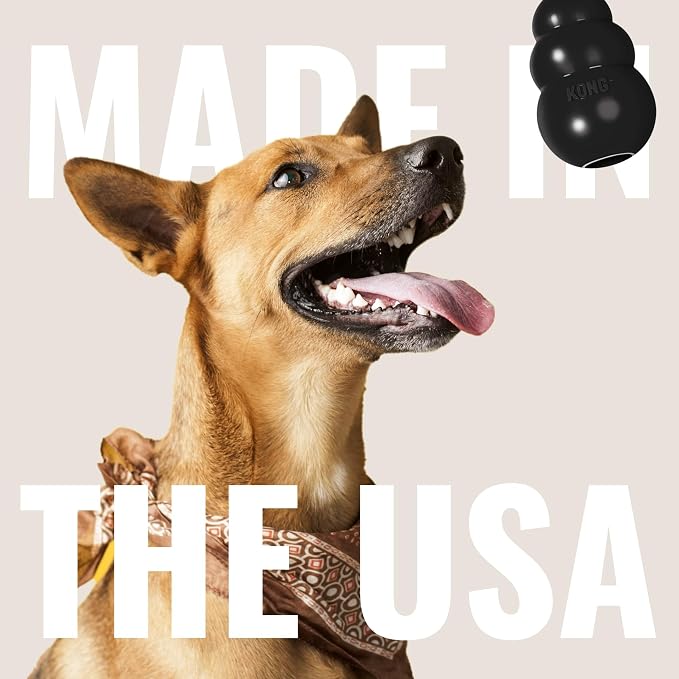 KONG Extreme Dog Toy, Natural Rubber Chew, for Small Dogs (Pack of 2)