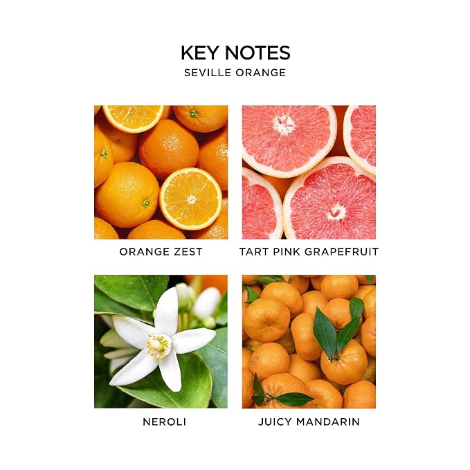 NEST New York Perfume Oil Discovery Set - Includes Balinese Coconut, Turkish Rose, Seville Orange, Indian Jasmine & Madagascar Vanilla - Vegan & Cruelty Free
