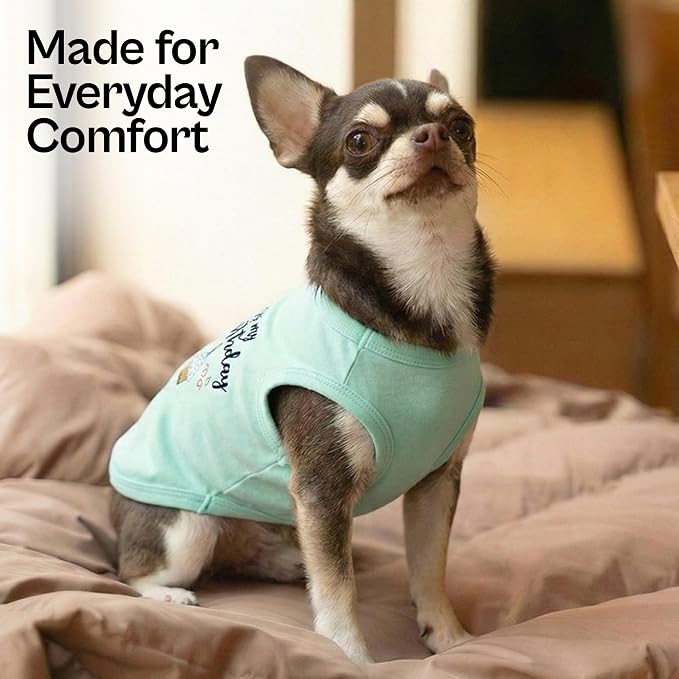 Parisian Pet Dog T-Shirt with Embroidered 'It's My Birthday' Words