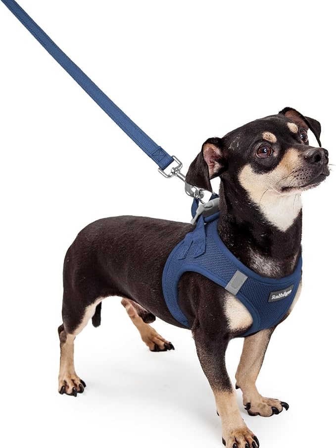 rabbitgoo Dog Harness Small Sized and Leash Set, Step-in Puppy Pet Vest | Light, Soft, Breathable Air Mesh, Easy on and Remove with Hook & Loop, Secure Reflective for Walking, Navy Blue XXXS