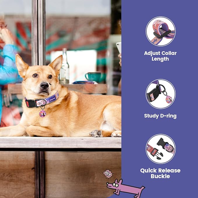 Dog Collar with QR Code ID Tag, Adjustable Pet Collar, Purple, L