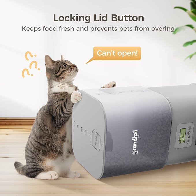 6L Automatic Cat Feeder with Dual Bowls, Button Control, Gray | Schedules 1-4 meals daily with adjustable portions, 10-second voice recording, locking lid, and AC or battery backup power.