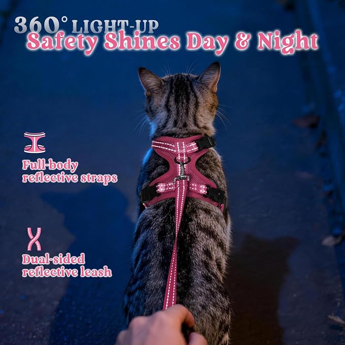 rabbitgoo Cat Harness and Leash Set, Easy-on with Neck Buckle, Rose Red