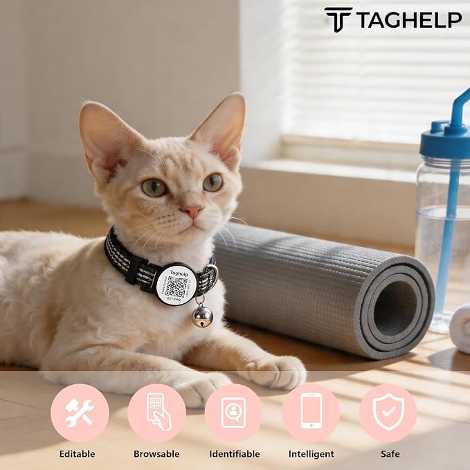 2-Pack Reflective-Breakaway Cat Collars with Bells with QR Code Name Tag, Cat ID Tag Personalized,Smart ID tag Cat Collar,Ideal for Girl Cats Male Cats Kittens Puppies (Black&Pink,NO airtag Holder)