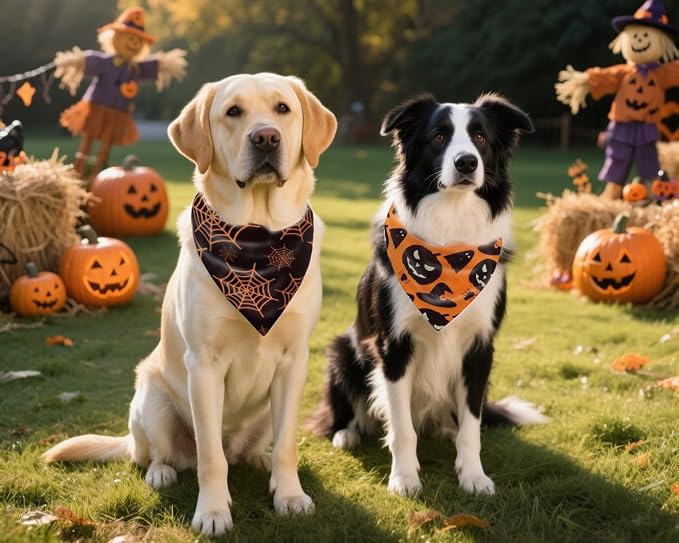 Fall Dog Bandanas 2PCS Halloween Pumpkin Spider Web Large Dogs | Reversible dog bandanas for fall & Halloween & Thanksgiving. Orange plaid/pumpkin/Spider Web design. Fits medium-large dog