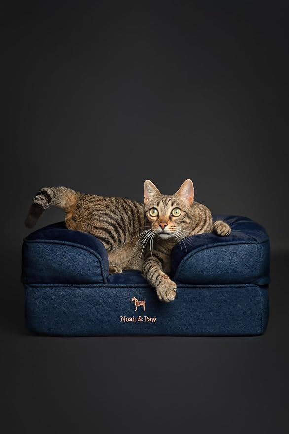 NOAH & PAW Small Dog Bed, 20x15x8 Inch, Cat Bed for Indoor Cats, Orthopedic Eggshell Memory Foam Infused with Cooling Gel, Water Resistant Inner Cover Machine Washable (Denim Collection)