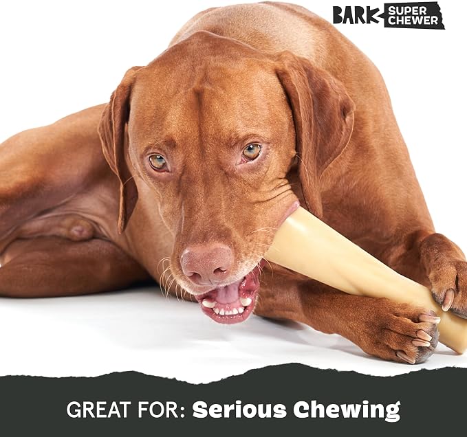 BarkBox Bacon Bone Super Chewer - Toy for Large Dogs | Durable Dog Toy for Aggressive Chewers - Bacon Scented Chew