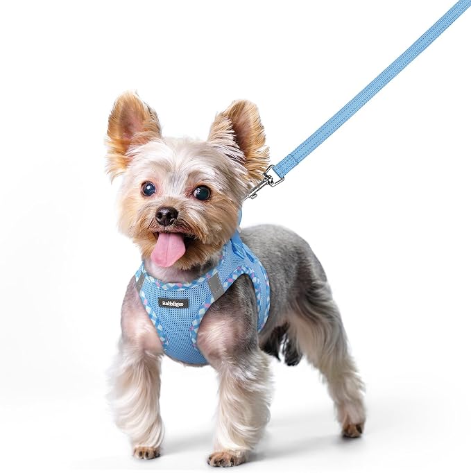 rabbitgoo Dog Harness Small Sized and Leash Set, Step-in Puppy Pet Vest | Light, Soft, Breathable Air Mesh, Easy on and Remove with Hook & Loop, Secure Reflective for Walking, Blue & Plaid Trim XS