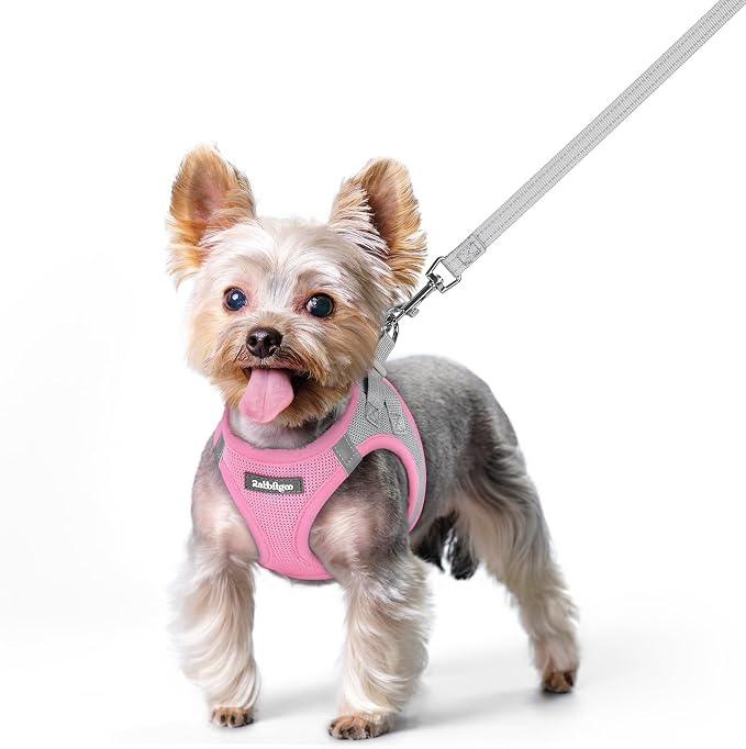 rabbitgoo Dog Harness Small Sized and Leash Set, Step-in Puppy Pet Vest | Light, Soft, Breathable Air Mesh, Easy on and Remove with Hook & Loop, Secure Reflective for Walking, Light Pink & Gray XS