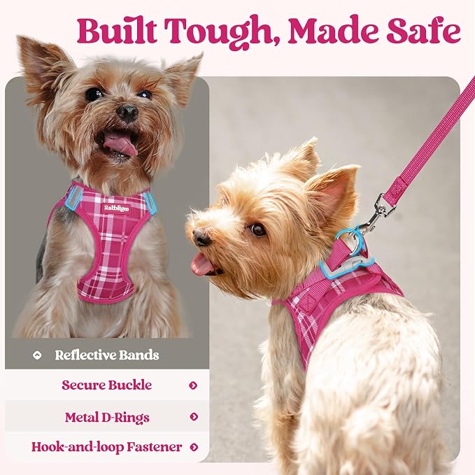 rabbitgoo Dog Harness Small Sized and Leash Set, Step-in Puppy Pet Vest | Light, Soft, Breathable Air Mesh, Easy on and Remove with Hook & Loop, Secure Reflective for Walking, Rose Red Plaid XS