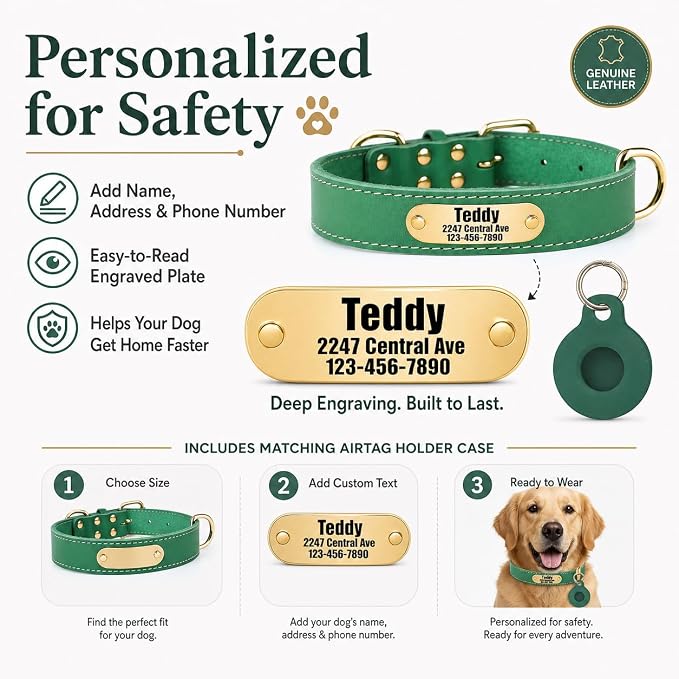Personalized Genuine Leather Dog Collar with Name Phone Number-Bluegreen-XS