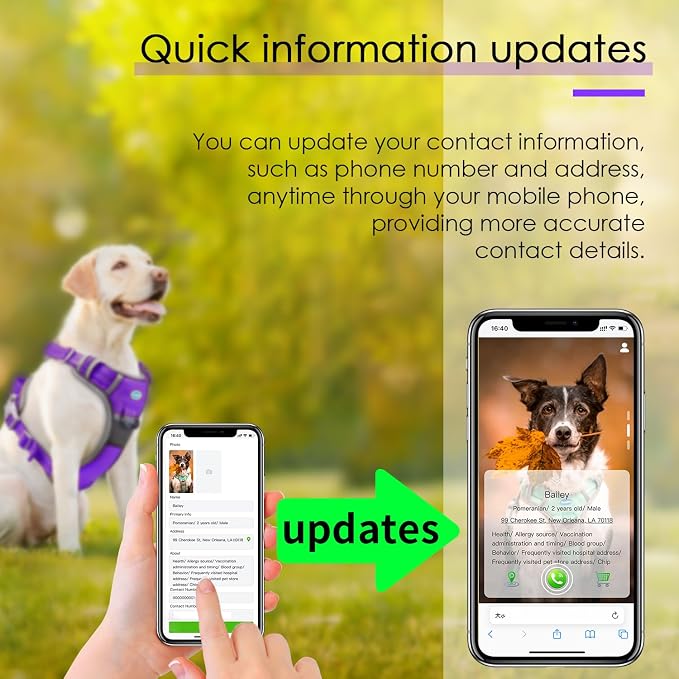 ThinkPet No Pull Harness Breathable Sport Harness with QR Code Dog Tag Reflective Dog Harnesses Smart ID Tagwith Handle Adjustable for Medium Large Dogs Back/Front Clip for Easy Control M Purple