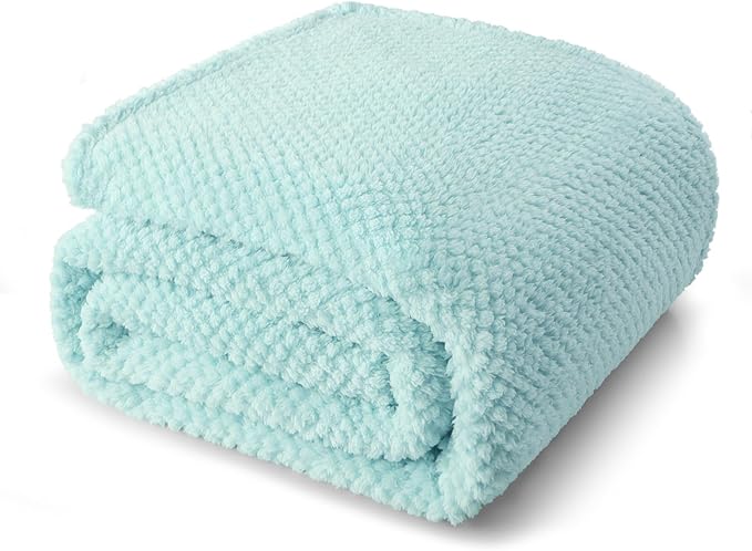 Whale Flotilla Soft Fleece Queen Size Bed Blanket, Light Blue | 90x90 Inch, Suitable for Bed, Fluffy Fuzzy Jacquard Blankets for All Season, Lightweight and Cozy