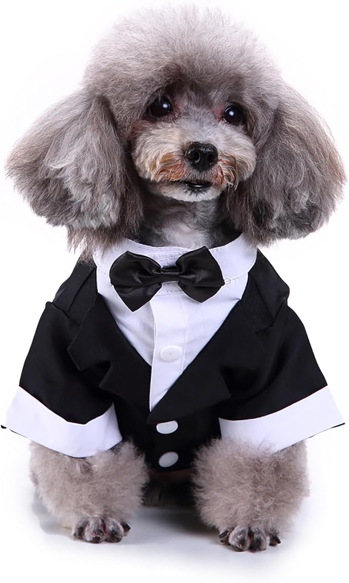 GabeFish Pets Wedding Jackets Suit for Dogs with Bow Tie Puppy Cat Formal Clothes Shirt Tuxedo (Black, M (Chest 15.3in/39cm)
