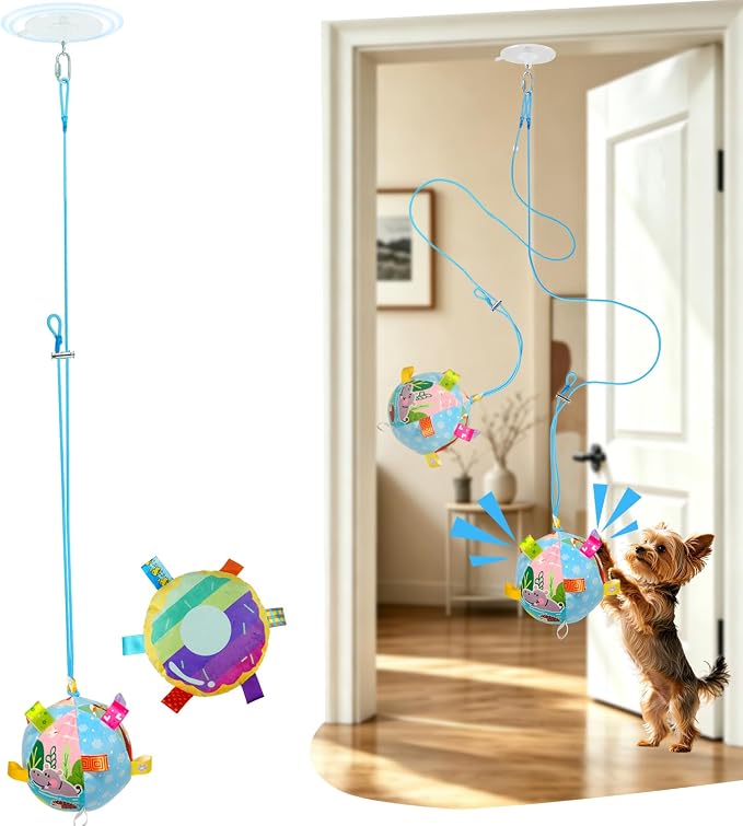 Colorful Squeaky Hanging Dog Toy with Suction Cup for Small Dogs | Bungee Tether, Crinkle Bell Ball, Bouncing Self-Play Toy, Door Frame Mounted, Interactive Fetch for Puppy Teething & Exercise