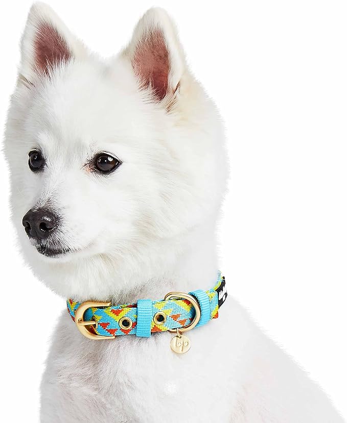 Blueberry Pet Southwestern Tribal Triangles River Blue Adjustable Dog Collar with Metal Buckle, Neck 17-20.5", for Large Breed