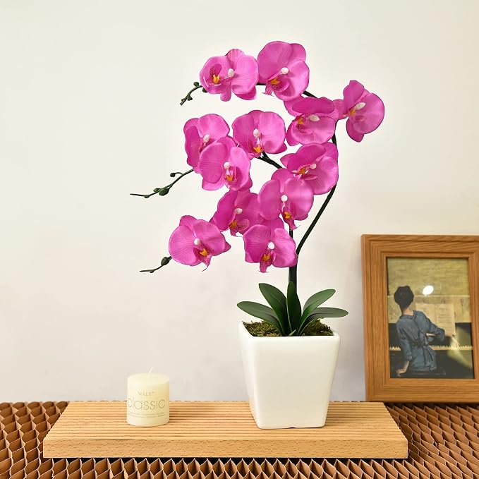 15" Silk Phalaenopsis Orchid in Square Pot, Fuchsia Flower Arrangements | Lifelike Faux Potted Blooms with Moss in a Ceramic Planter. Looks Real, Zero Upkeep, Ideal Centerpiece for Any Table