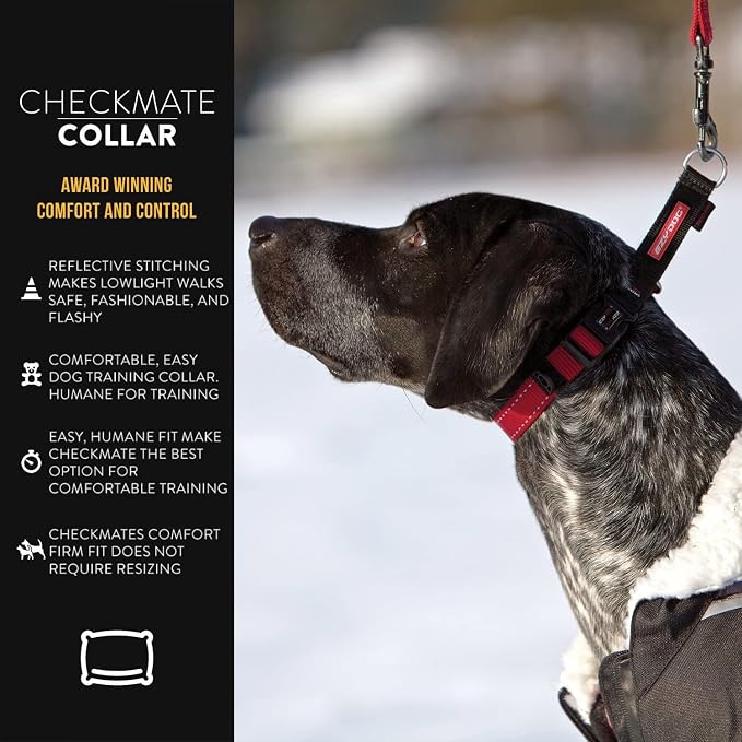 EzyDog Checkmate Martingale Collar for Dogs – Premium Nylon Training Dog Collar for Easy Control with no Choking (X-Large, Blue)