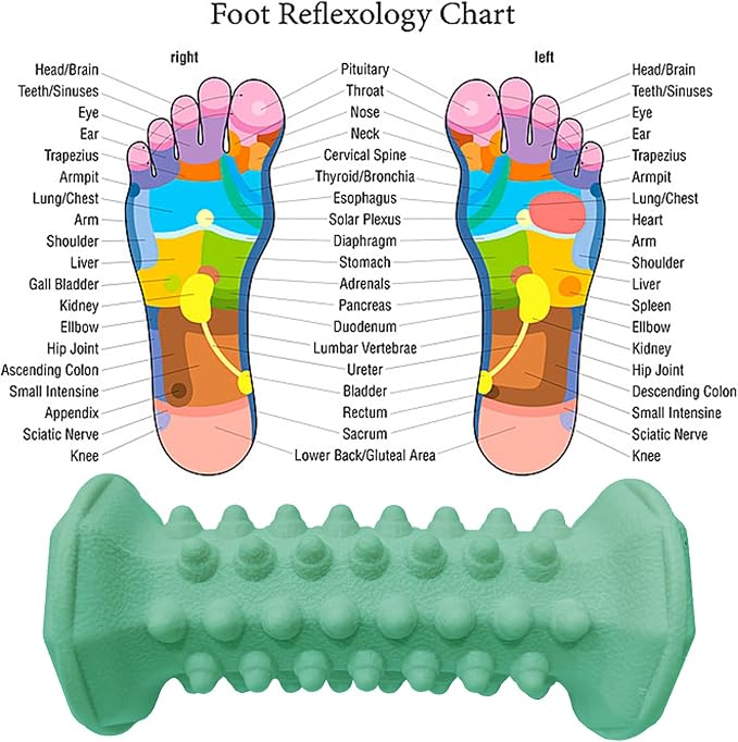 Foot Massager Roller for Plantar Fasciitis Relief, Neuropathy Pain Relief for Feet Foot Arch, Reflexology Deep Tissue Muscle Massage Acupressure Tool