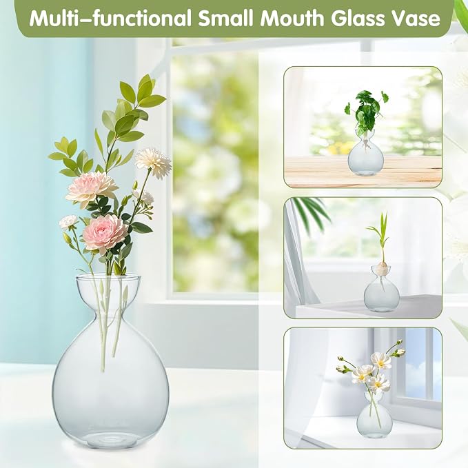2PCS Small Avocado Grow Vase Glass Acorn Seed Starter Vase Pot for Growing | Premium Glass Avocados Growing Vases, Clear Avocados Pit Planter Pot, Ideal for Gardening Lover Indoor Hydroponics
