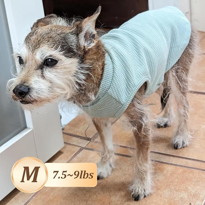 KYEESE 2Pack Dog Shirts Waffle for Small Dogs Stretchy T-Shirts Lightweight Tank Top Sleeveless Vest Breathable Cat Tee, Medium, Blue+Grey | Cozy Warmth, Lightweight & Breathable, Gentle on Sensitive Skin, Stretchy & Free to Move, Comfortable Daily Wear
