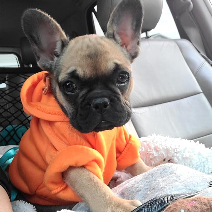 Soft Dog Hoodies for Small Dogs, Warm Fleece Puppy Clothes with Pocket | Jecikelon cold weather coat, cute puppy costume, breathable sweatshirt for dogs girl & boy, machine washable, easy on & off