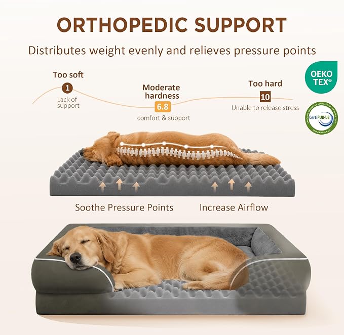 Comfort Expression Waterproof Orthopedic Dog Bed for Extra Large Dogs | Supportive Egg Crate Foam XL Pet Bed with Removable Bolster, Dog Couch with Washable Cover & Non-Slip Bottom, 42x30 Inch