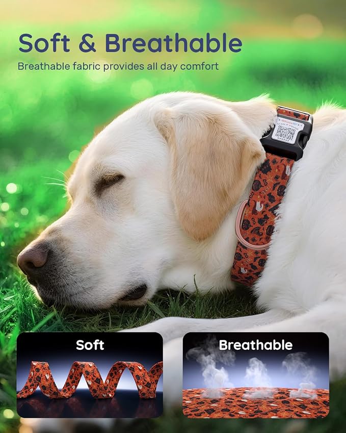Dog Collar for Meidum Dogs with Smart QR Tags