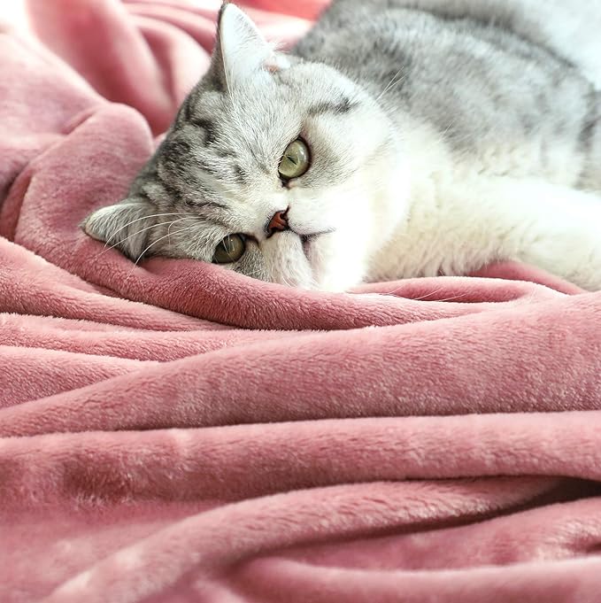 TASTHROW Large Flannel Fleece Throw Blanket, 50×70 Inch - Cozy Lightweight Thick Blanket - All Seasons Suitable for Women, Men and Kids (Pink) | Cozy Lightweight Thick Blanket - All Seasons Suitable for Women, Men and Kids