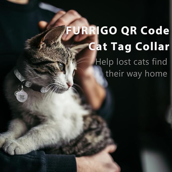 Breakaway Reflective Cat Collar with QR Name Tag & Bell (Grey)