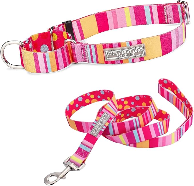 Lucky Love Dog Martingale Collar & Leash Set No Slip Cute – Molly, Medium