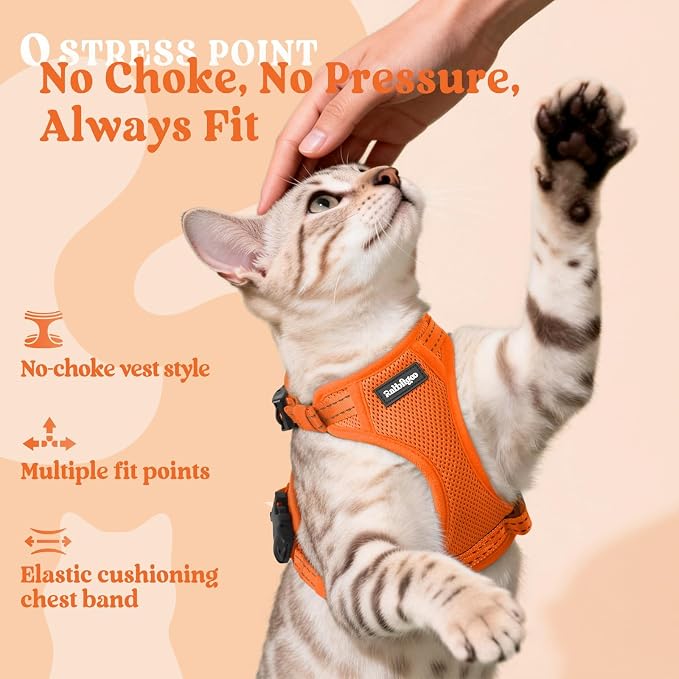 rabbitgoo Cat Harness and Leash, Easy-on with Neck Buckle, Orange