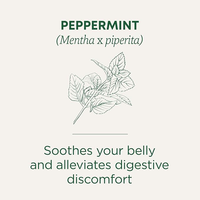 Traditional Medicinals Tea, Organic Peppermint, Soothes Your Belly, Refreshing & Minty, 48 Tea Bags
