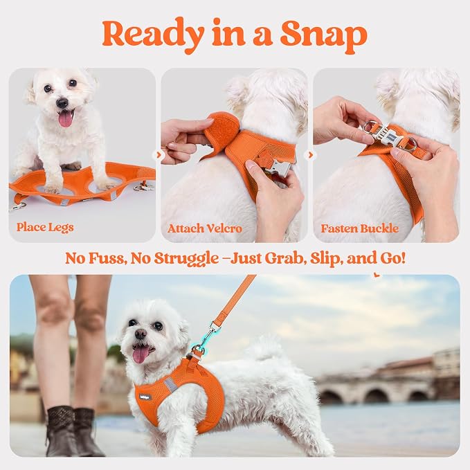 rabbitgoo Dog Harness Medium Sized and Leash Set, Step-in Puppy Pet Vest | Light, Soft, Breathable Air Mesh, Easy on and Remove with Hook & Loop, Secure Reflective for Walking, Orange L