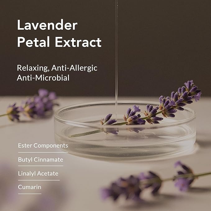 Kustie Lavender Petal Body Wash – Real Visible Provence Petals with Tea Tree Oil | Oil-Control & Pore-Clearing Cleanser for Balanced Skin | Free From Paraben, Sulfate & Phthalate | 12.8 Fl Oz