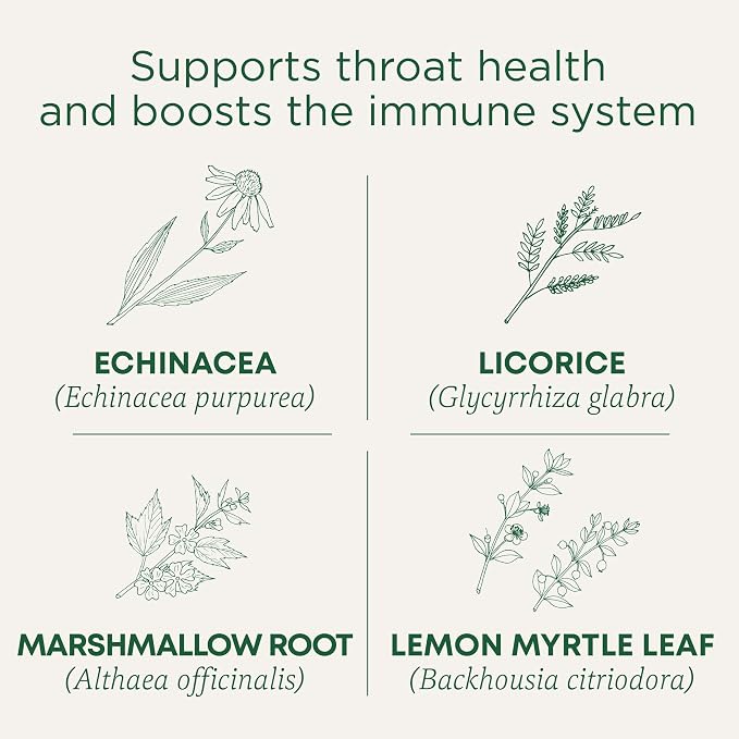 Traditional Medicinals, Organic Throat Coat Lemon Echinacea - Supports Throat Health - Kosher, Non-GMO, Caffeine-Free, Compostable, 16 ct
