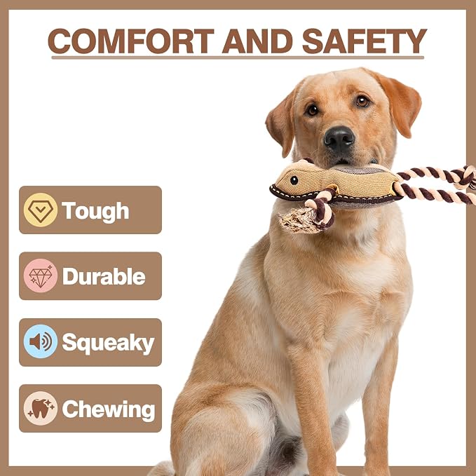 Tough Squeaky Dog Toys for Aggressive chewers Interactive to Keep Them Busy, Durable Funny Cute Tug of war Rope Birthday Dogs Toy for Small Medium Large (Frog)