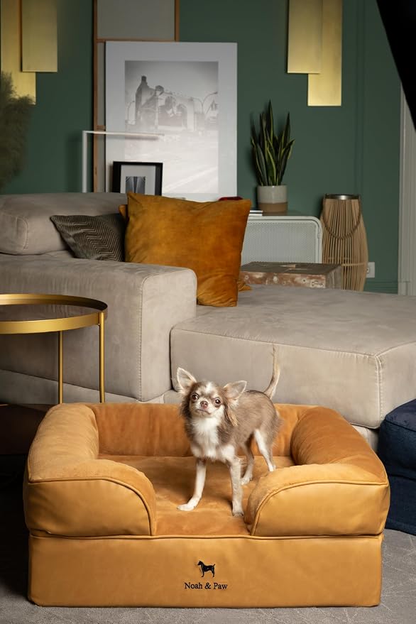 NOAH & PAW Dog Bed, 28x23x11 Inch, Orthopedic Dog Beds for Medium Size Pets, Eggshell Memory Foam Infused with Cooling Gel, Inner Cover, Water Resistant, Machine Washable (Faux Leather)