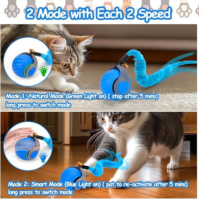 Mity rain Interactive Cat Toy Ball, Rechargeable Cat Toys for Indoor Cats