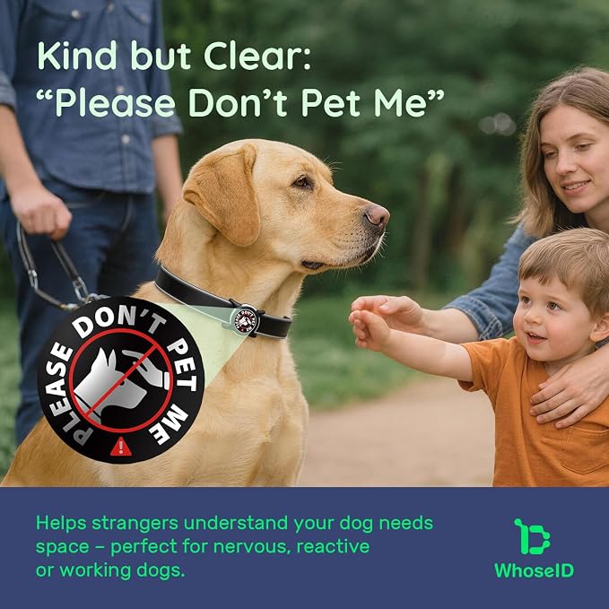 Waterproof AirTag Holder for Dog Collar, Soft Slide-On Dog AirTag Holder | Full-Body Protection, No-Dangle Fit, Ultra-Durable, Lightweight, Tool-Free Installation, Fits Dog & Cat Collars