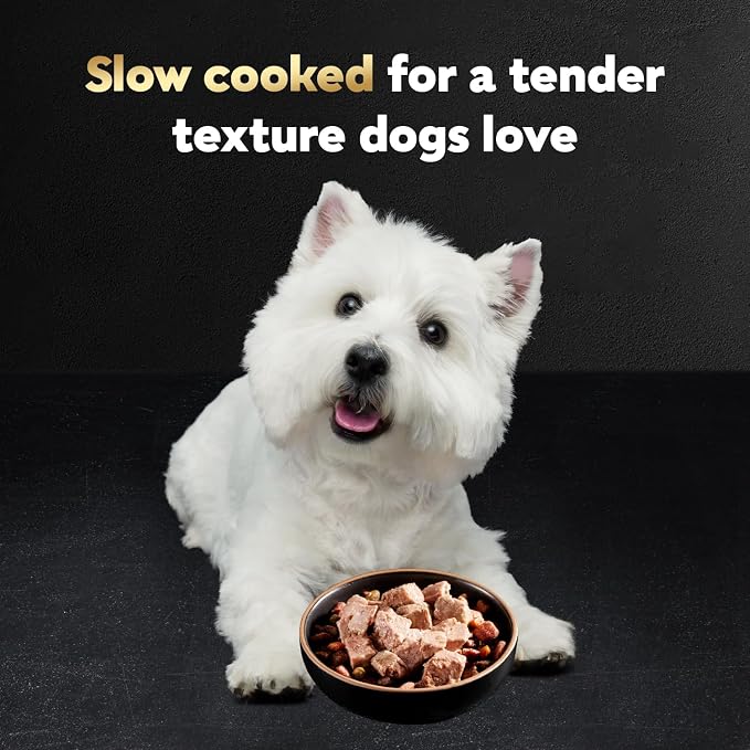 Cesar Classic Loaf in Sauce Wet Dog Food, Variety Pack, 3.5 oz, 60 Count | Made in USA, No fillers or artificial flavors, slow-cooked juicy texture, works as a meal or food topper, easy peel trays