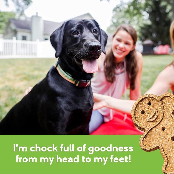 Buddy Biscuits 938072 Soft & Chewy Treats with Roasted Chicken - 6 oz. (4 Pack)