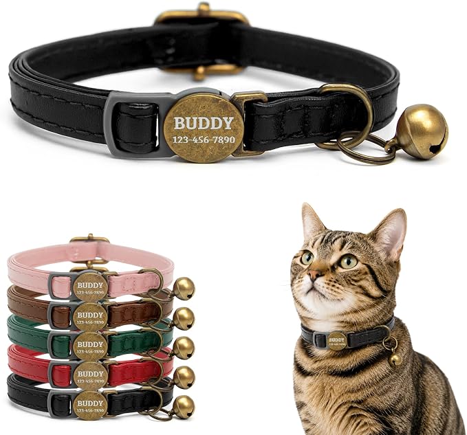 Personalized Breakaway Cat Collar with Name, Black