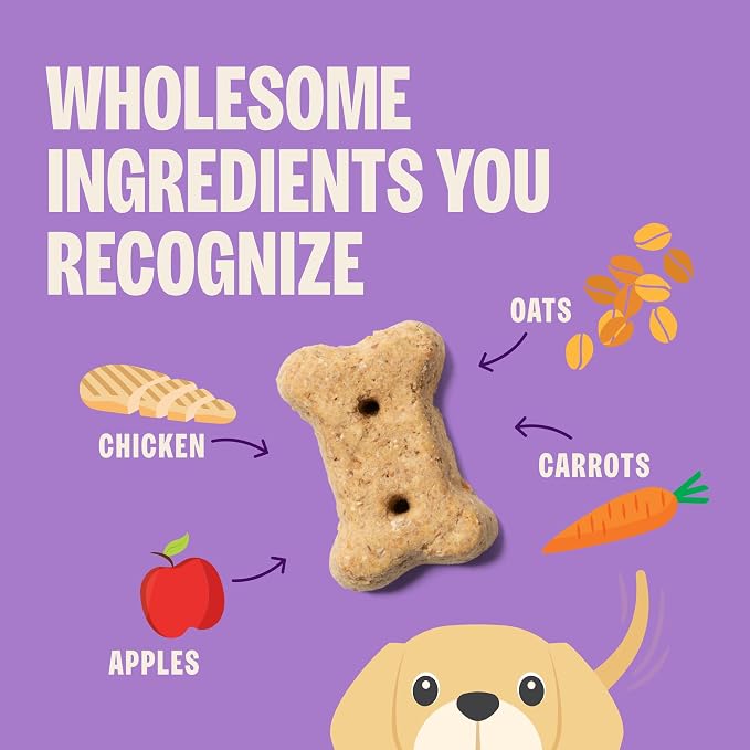 Wellness Old Mother Hubbard Classic Puppy Dog Biscuits, Natural Training Treats, Oatmeal and Chicken Flavor, Mini Size, 20 oz Bag