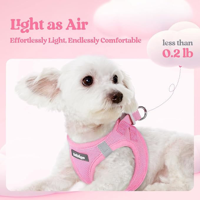 rabbitgoo Dog Harness Small Sized and Leash Set, Step-in Puppy Pet Vest | Light, Soft, Breathable Air Mesh, Easy on and Remove with Hook & Loop, Secure Reflective for Walking, Light Pink XXS