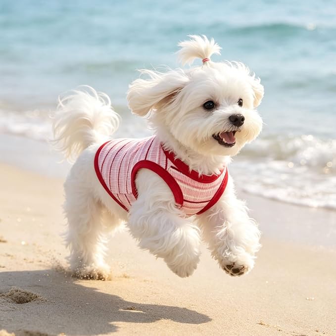 Small Dog Shirts Classic Striped Dogs Cats Clothes, Red S | Soft Pet Tee Shirt, Breathable Dog Outfits with Exquisite Edging, Small Puppy Pajamas Chihuahua Yorki Party Daily Costumes