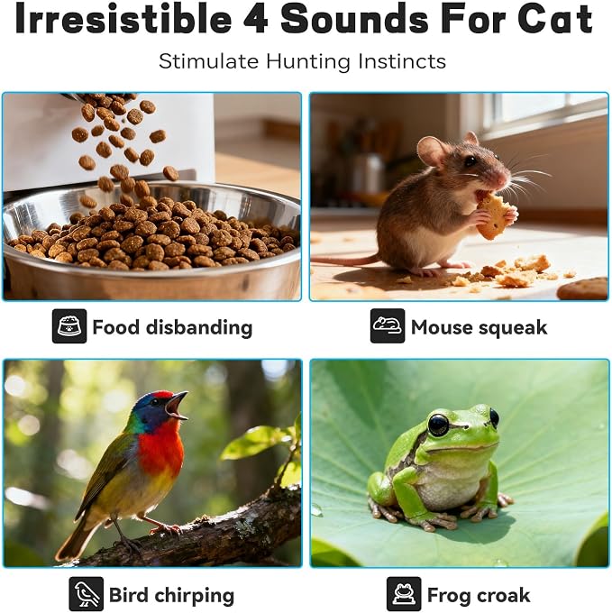 Interactive Cat Toy, Motion Activated Ball & 7 Holes Maze Hide and Seek Mat | Exercise Game for Indoor Cats, Automatic Moving Cat Ball Toy Mouse Catching in Pouch, Rechargeable Kitten Toy, No Cat No Life