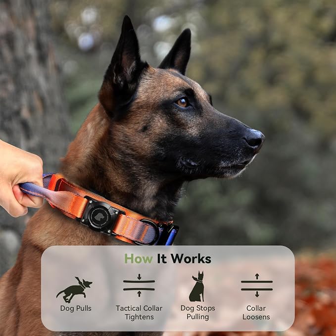 2026 Upgrade Waterproof Tactical AirTag Dog Collar, Built in AirTag Holder | Comfortable Control Handle, Quick Release Metal Buckle, Durable 1000D Nylon, For Medium to Large Dogs, Ocean Blaze,M