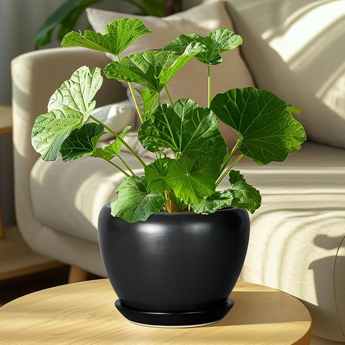 Ceramicfor Ceramic Planter Pot - 8 Inch Plant Pot with Drainage Hole and Saucer Round Planter for Indoor Plants Modern Outdoor Flower Pot for House Balcony Black